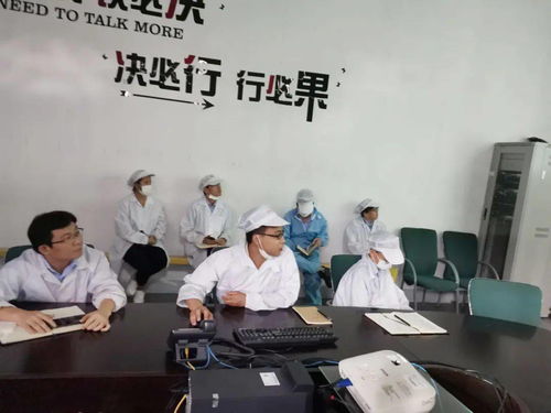 第十一事業(yè)部涂裝深圳工廠成功舉辦技術(shù)交流活動(dòng)，共促工藝革新與質(zhì)量提升